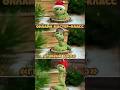 Новогодний подарок своими руками 🎁🐍 #игрушкасвоимируками #змейка #игрушкаантистресс