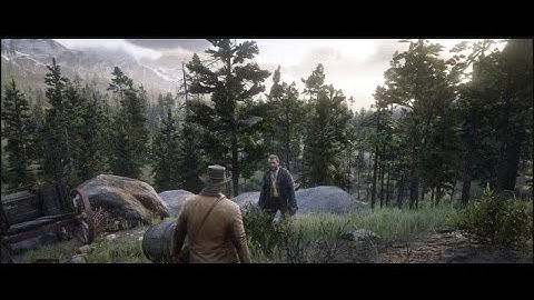 Red Dead Redemption 2 Wilderness Chance Encounters : Crashed Wagon