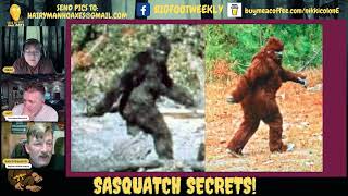 Why is the Patterson/Gimlin footage the Most Convincing Bigfoot Footage