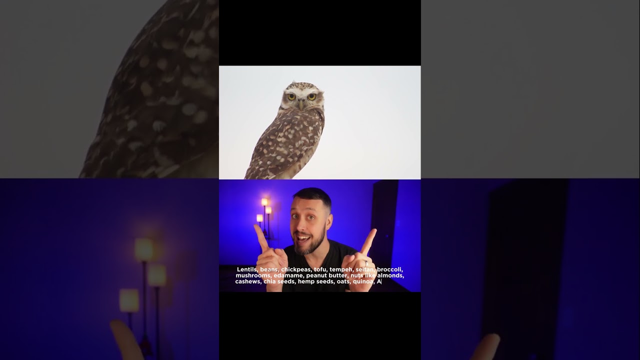 Protein-Rich Foods for Vegans