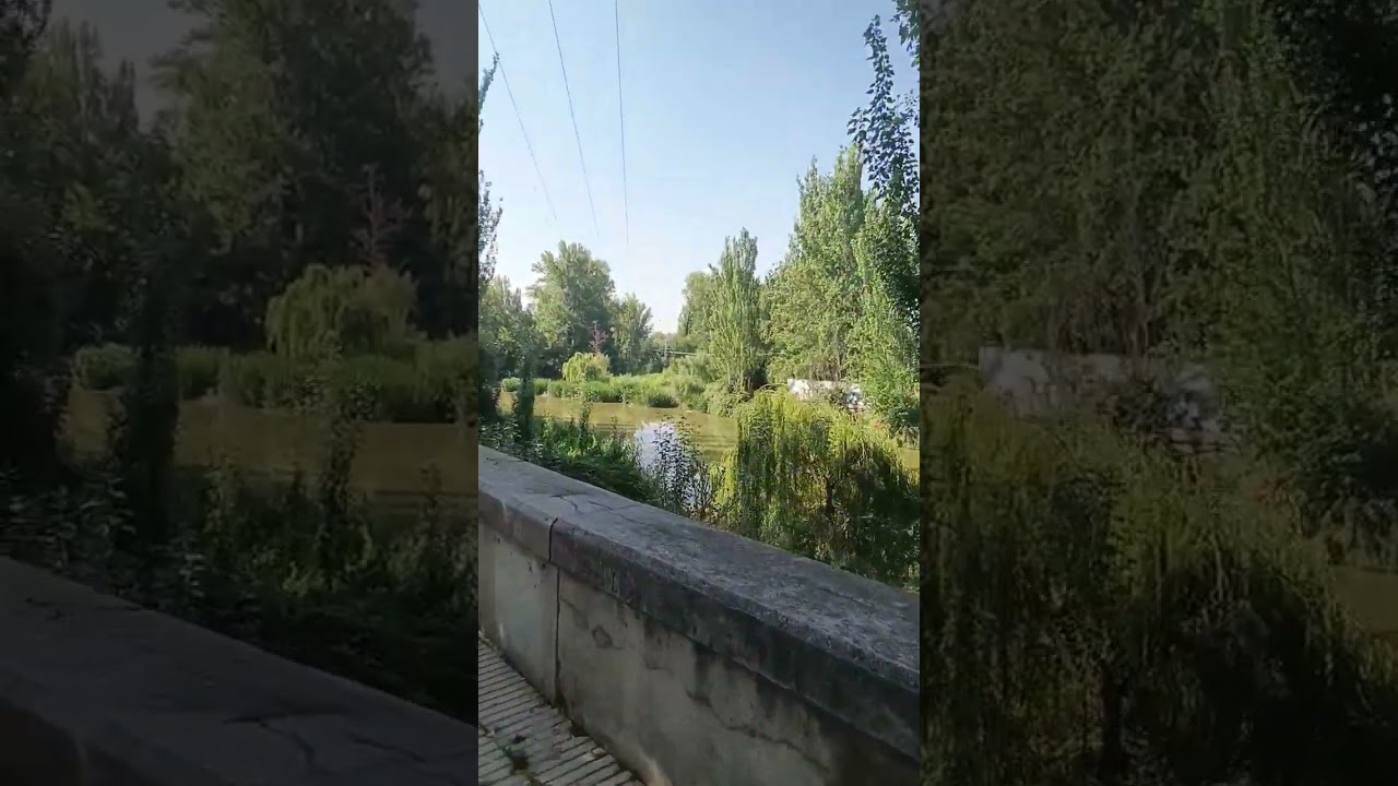 Breathtaking nature walk by the riverside# Nature relaxes.