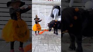 Little witch and her pony😍 #shor...