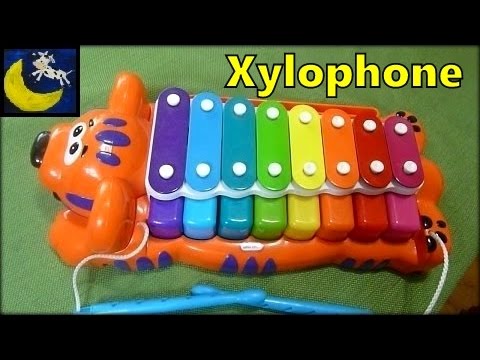 review-of-little-tikes-jungle-jamboree-tiger-2-in-1-piano-xylophone