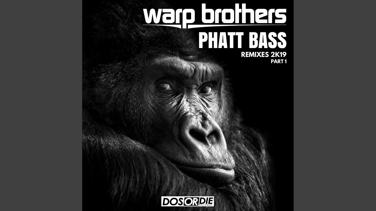 Phatt Bass (David Novacek Remix)