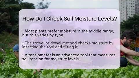 How Do I Check Soil Moisture Levels? - The Plant Enthusiast