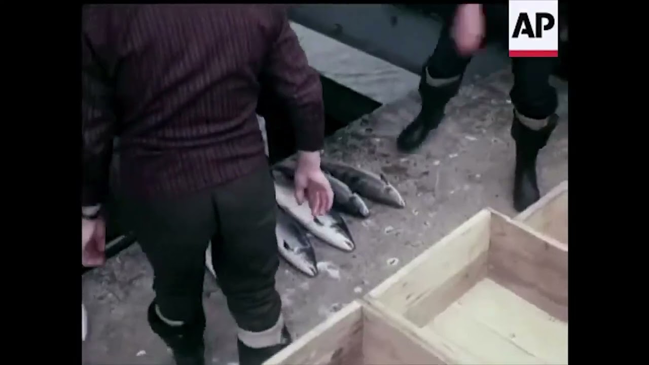 Samon fishing weir at Thomand Limerick 