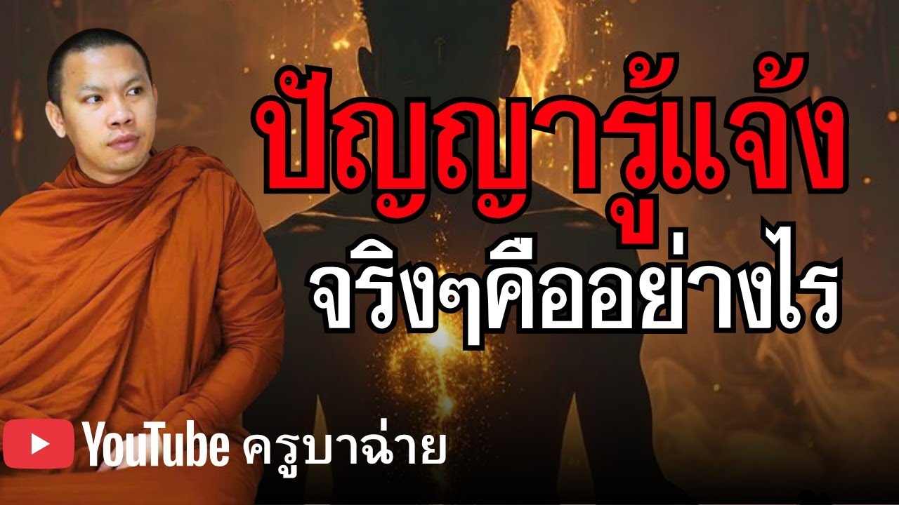ปัญญารู้แจ้งจริงๆคืออย่างไร#ธรรมะ #ธรรมะก่อนนอน #อานาปานสติ #สติ #สมาธิ 