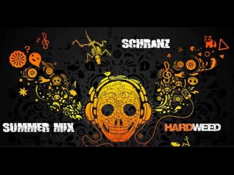 Schranz Summer mix (I´ will kill you) 2014