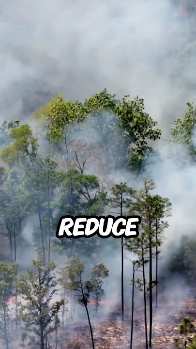 How Firefighters Fight Fires With Fire!