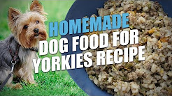 Homemade Dog Food for Yorkies Recipe
