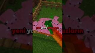 🐷 Yeni Güncellemeyle Gelen Yavru Domuzlar! 🥕