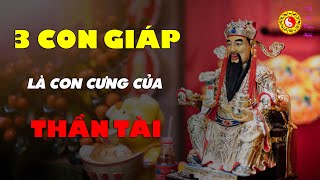 Những con giáp gặp nhiều may mắn càng già càng giàu