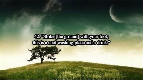 surah sad arabic#quran |سورة ص|tajweed|imam feysal surah saad