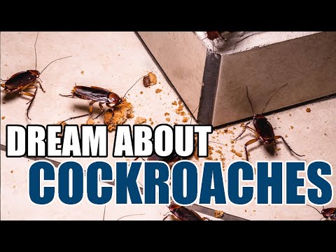 Video: What can cockroaches in a dream mean for a woman