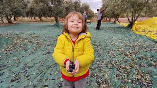 Berkay Ege İle Köyde Bir Gün Geçirmek Fragman