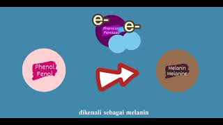 BIOLOGI SPM T4 PRAKTIS SUMATIF 5 BUKU TEKS WARNA EPAL DIKUPAS TIDAK BERTUKAR MENJADI PERANG