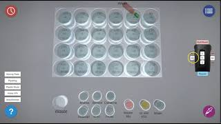 Virtual Glucose Assay