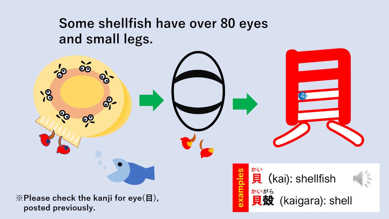 24-How to write the kanji for “shellfish”. 漢字「貝」の書き順 - YouTube