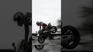 Italian Balance Aprilia Rsv4 Factory Slow Motion Stoppie Perfezione