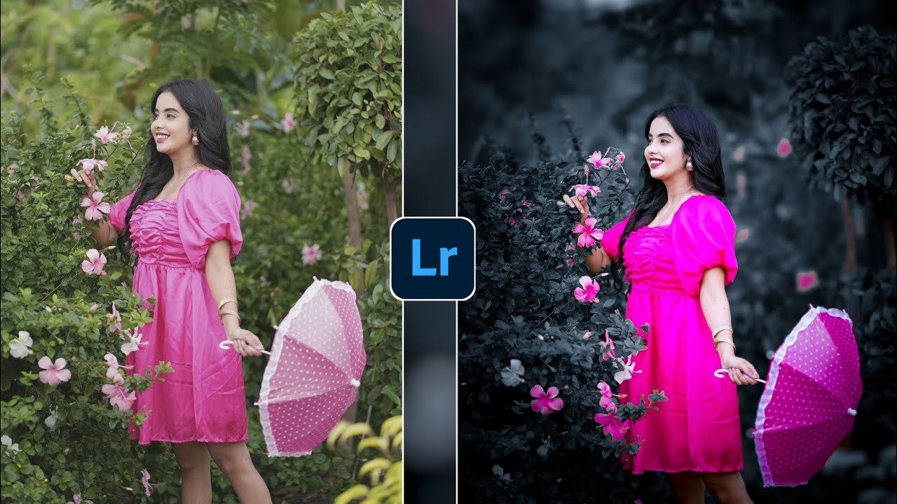 Dark grey tone effect Lightroom photo editing//preset download free//