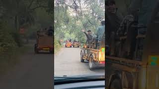 Tiger on Road 😱 Ranthambore national park | Tiger video