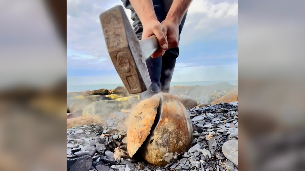 Digging Up Prehistoric Secrets: The Most Insane Fossil Finds!