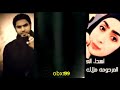قصيده لروح المرحومه ملاك حيدر الزبيدي تبكي الصخر mp3