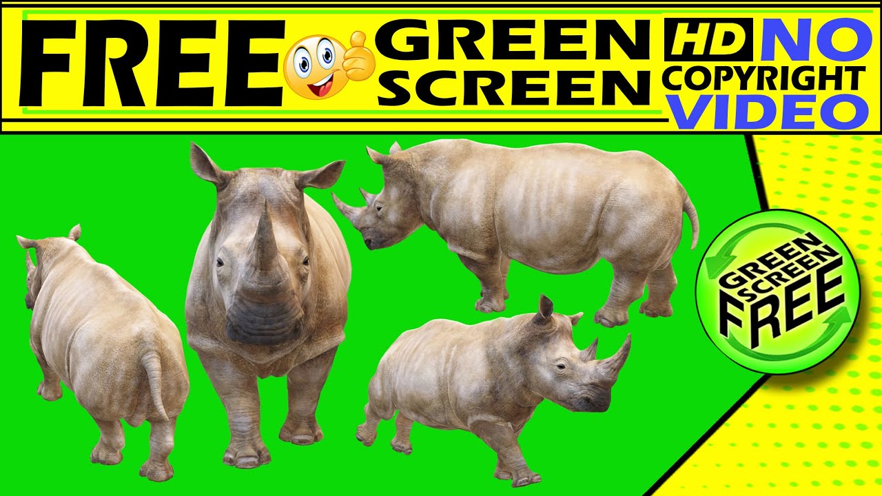 Animal green screen video Animal video free download Animal Video