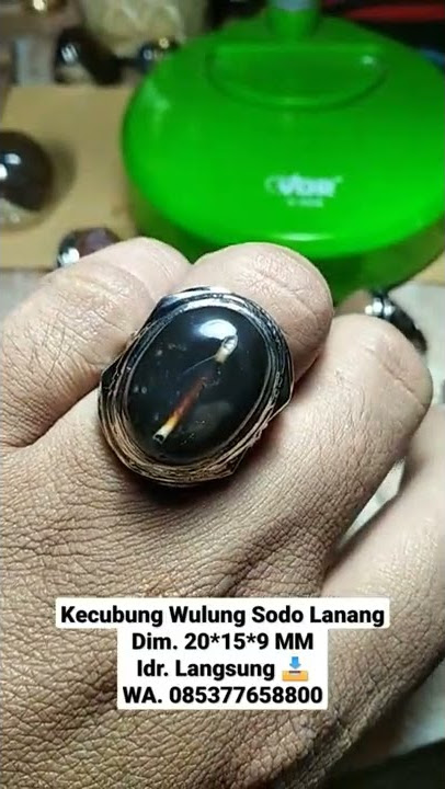 ❌UDAH LAKU TERJUAL ❌ KECUBUNG WULUNG
