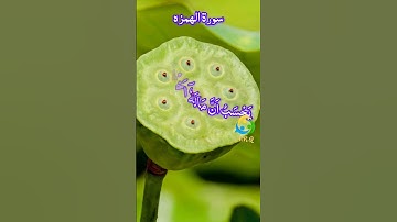 سورة الهمزه #duet #المصحف #اكسبلور #القزابري #دويتو #الرحمن #ترند #الطحان #logo #دحمان