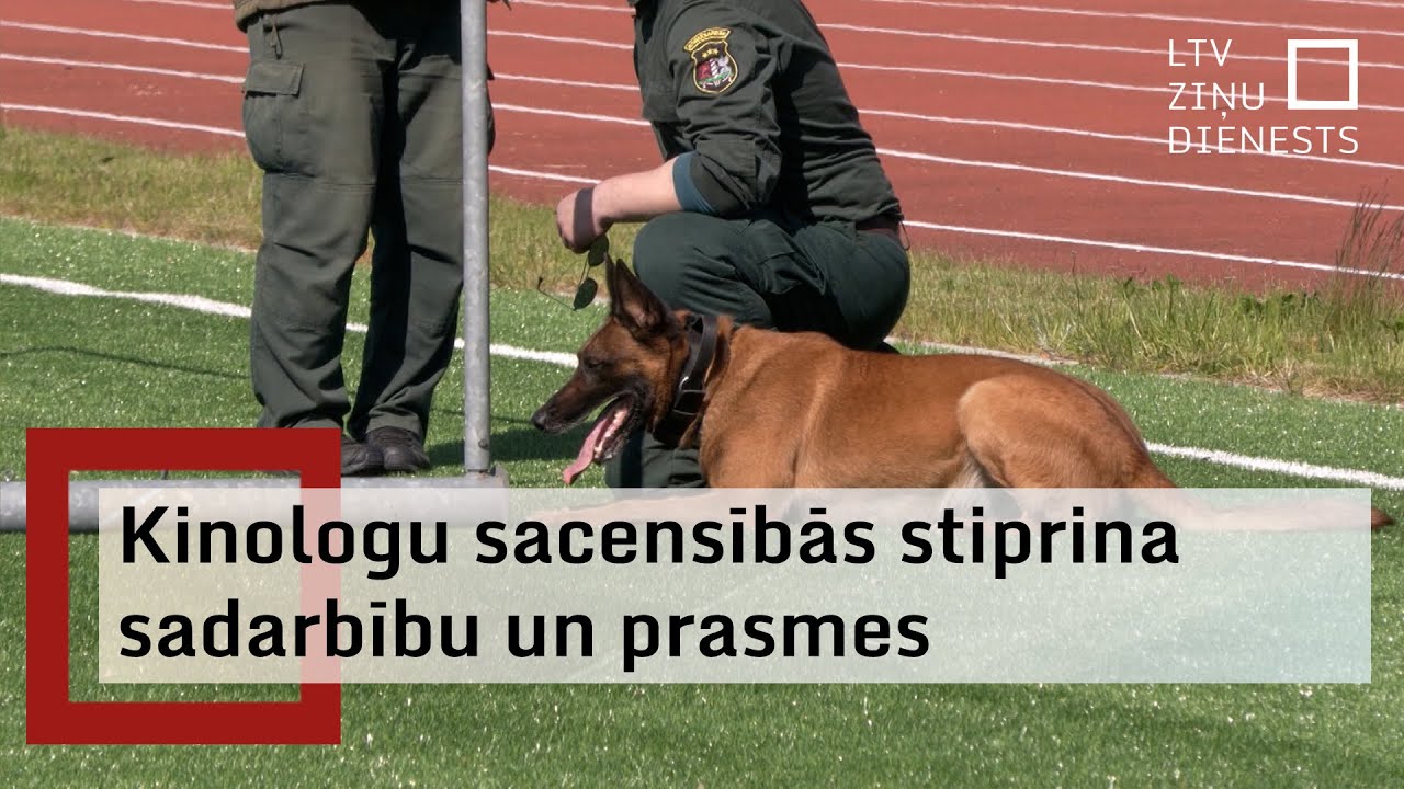 VRS koledžā Rēzeknē norisinās kinologu sacensības; piedalās arī ārvalstu robežapsardzes dienesti