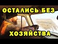 Остались без хозяйства. Выпустили коз попастись, а они убежали и потерялись. За 7 лет впервые такое