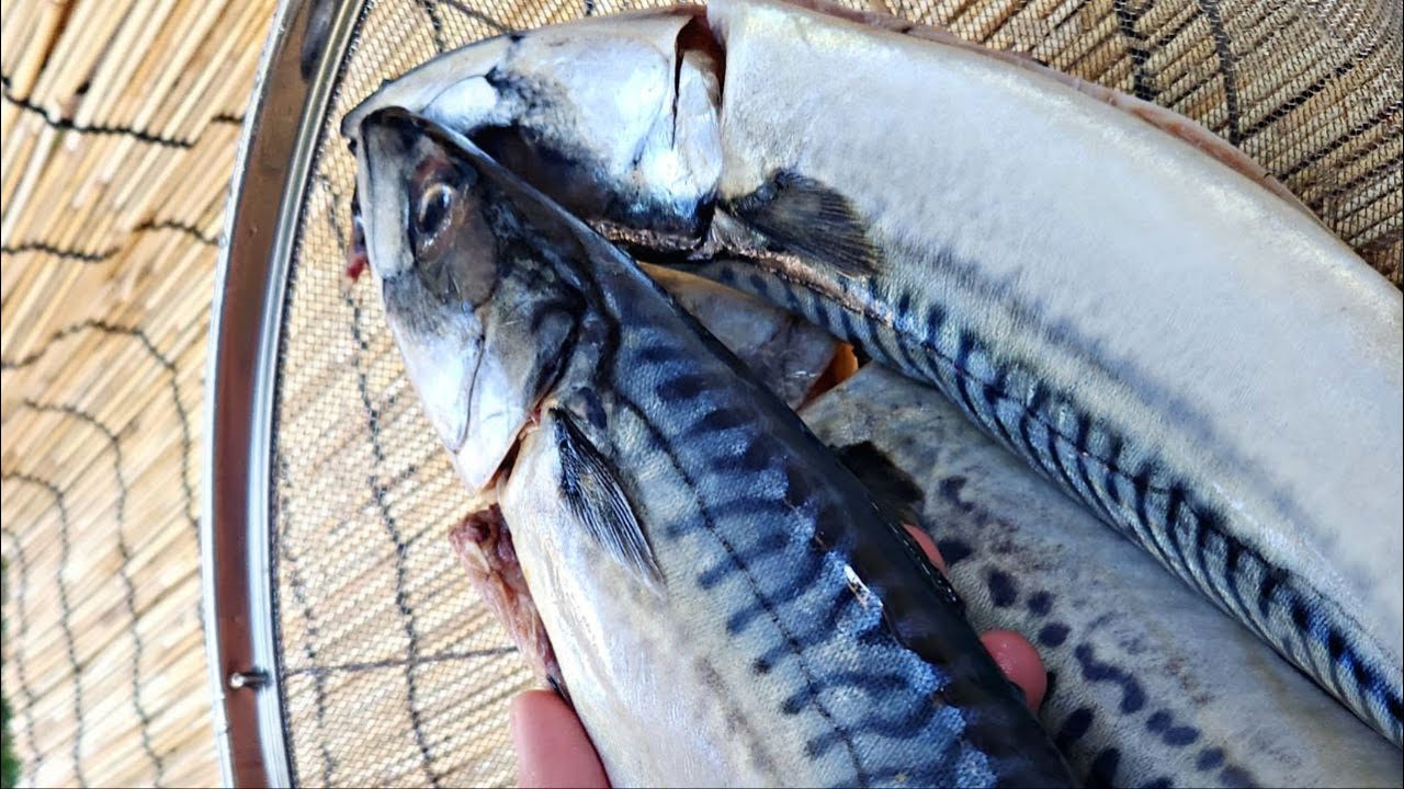 Delicious Smoke Mackerel Recipe YouTube