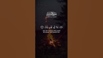 تَبّتْ يَدَآ اَبِي لَهَبٍ وَتَب || تلاوة جميلة سورة المسد || القارئ مشاري راشد العفاسي