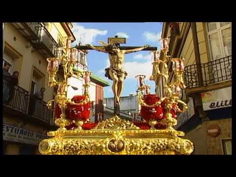 Real, Ilustre y Fervorosa Hermandad Sacramental de la Pura y Limpia Concepción de la Santísima Virgen María, Ánimas Benditas del Purgatorio y Cofradía de Nazarenos del Santísimo Cristo de la Salud, María Santísima del Refugio, Santa Cruz, Nuestra Señora del Patrocinio, Santa Bárbara y San Bernardo
