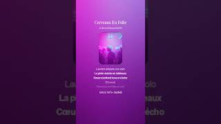 Cerveaux En Folie