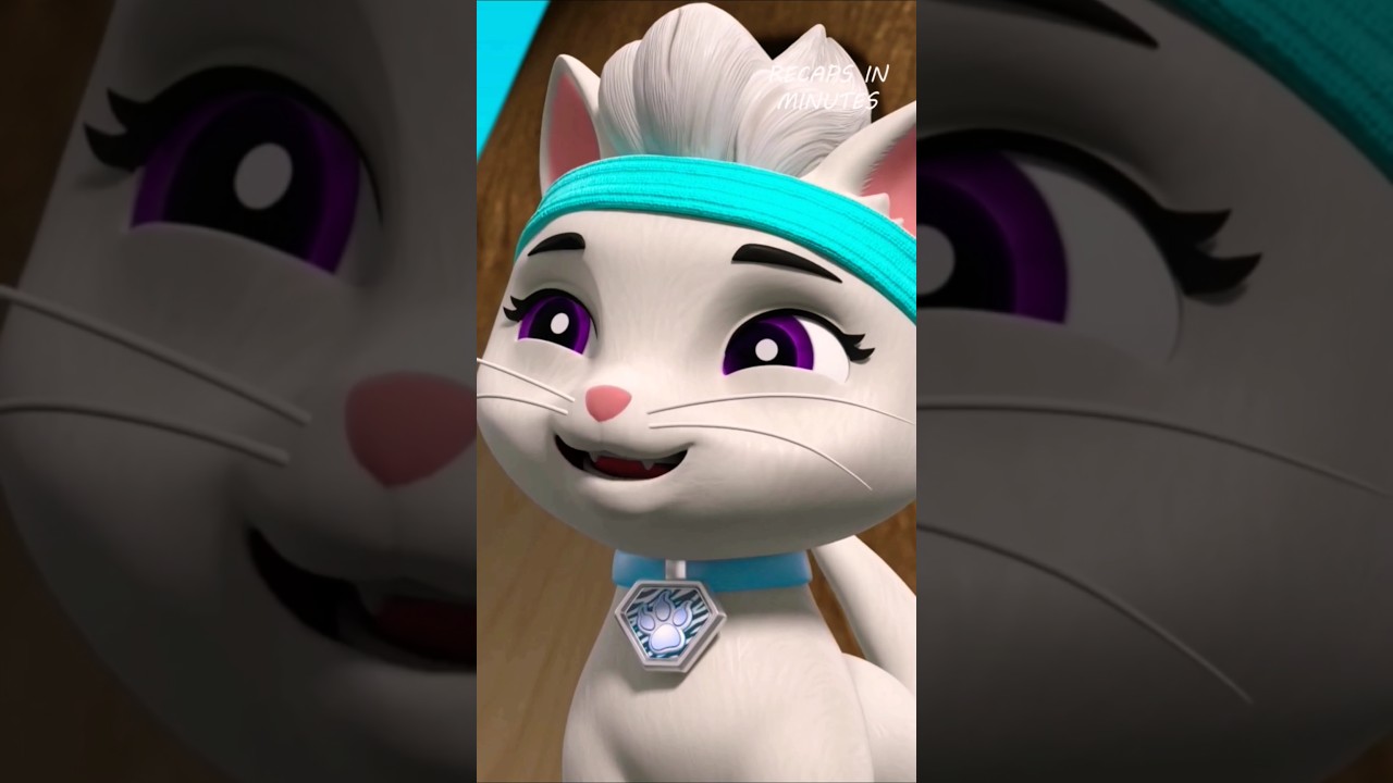 Paw Patrol Cat Pack | 