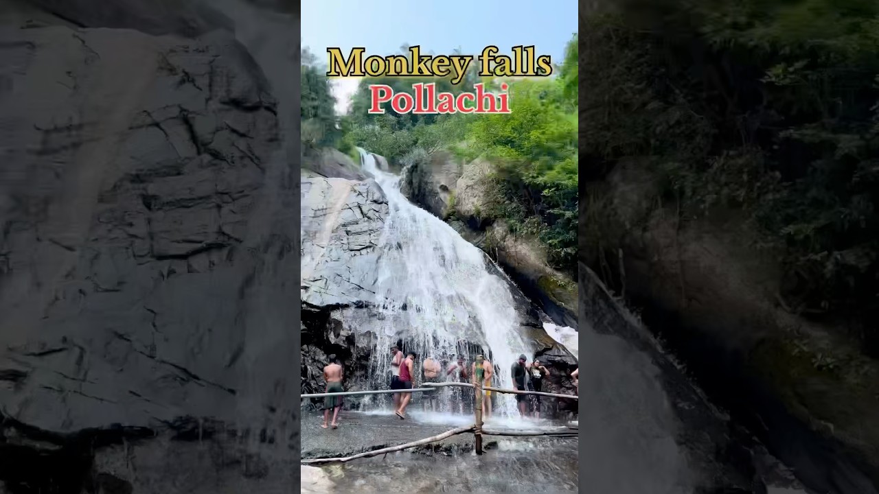 Monkey falls Pollachi🔥🐒