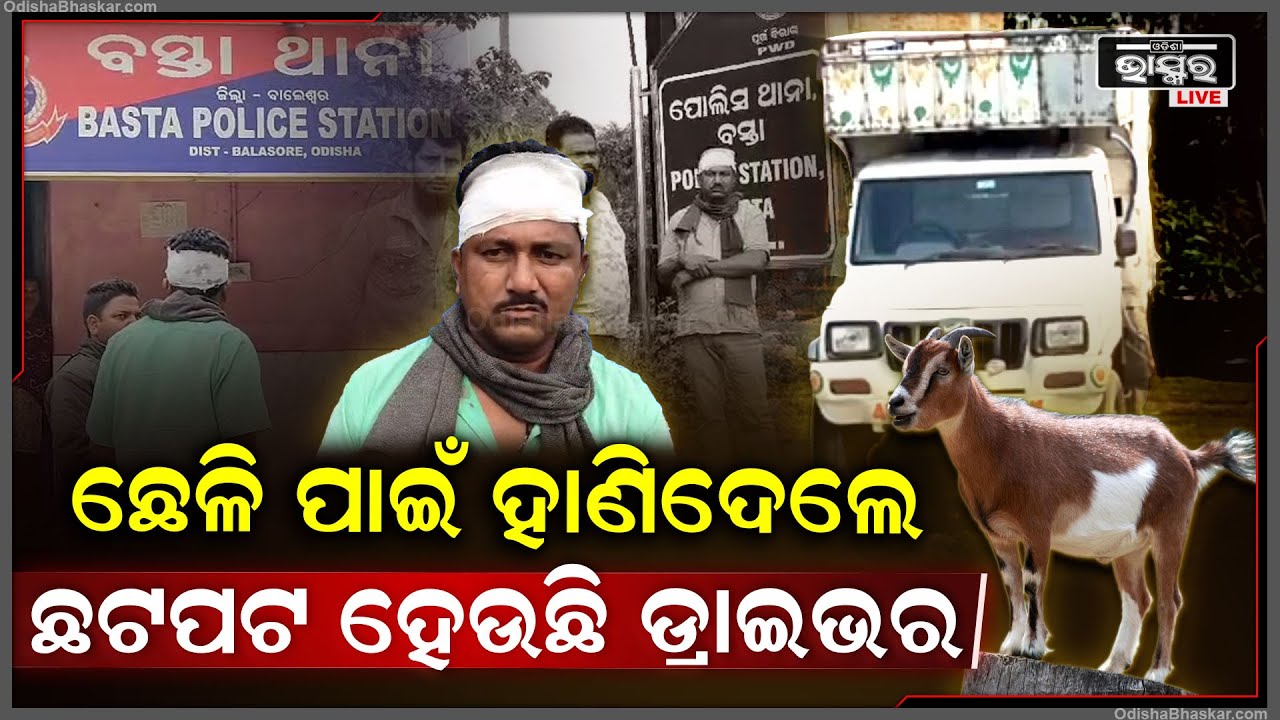 ପିକଅପ୍ ଭ୍ୟାନରେ ଛେଳି ନେଇ ପଶ୍ଚିମବଙ୍ଗ ଯାଉଥିଲେ | ହଠାତ୍ ଆକ୍ରମଣ କଲେ ଦୁର୍ବୃତ୍ତ, ନେଇଗଲେ...