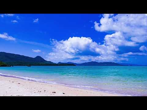 島人ぬ宝（しまんちゅぬたから）　作詞 作曲 BEGIN