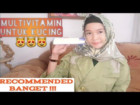 Video: Haruskah Kucing Anda Mengonsumsi Multivitamin?