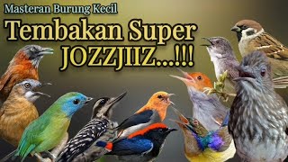 Download Lagu TEMBAKAN SUPER JOZZJIIZ‼️MATERI PANJANG-PANJANG.#masteranburung MP3