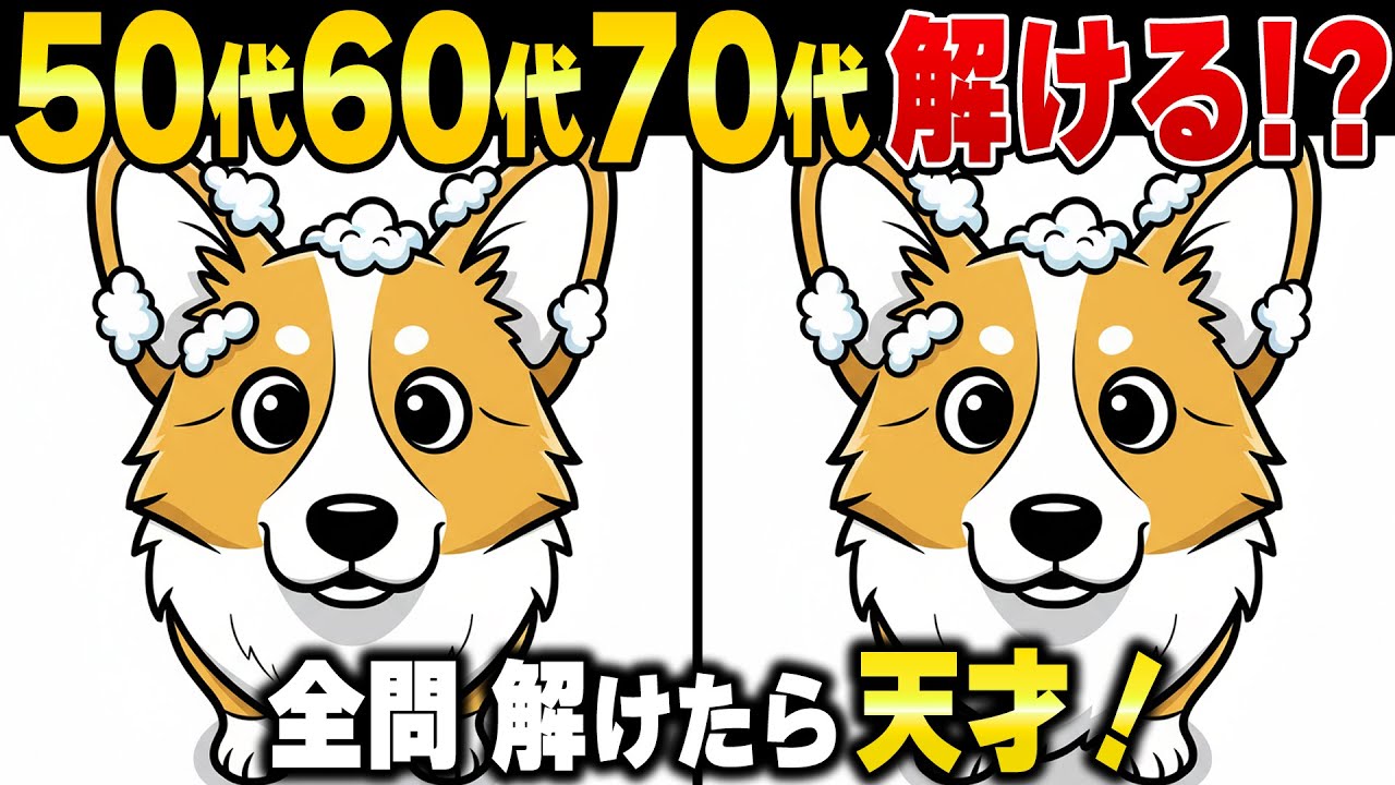 60代70代から脳は衰える！？脳寿命を伸ばす老化防止間違い探し脳トレで若返る