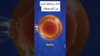 DThe Magic of Life: Week 1 #Embryology #BeginningOfLife #HumanDevelopment #ScienceExplained