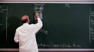 COURS ANATOMIE 11: Appareil Respiratoire Partie 2