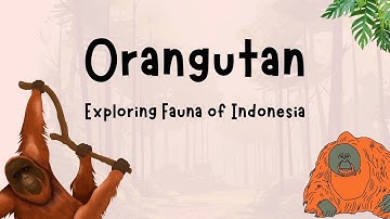 Report Text - Orangutan | Exploring Fauna of Indonesia