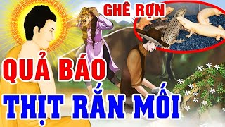 KINH HOÀNG! Cả Làng Dị.ệt Vong Vì Th.ịt RẮN MỐI - Quả Báo Sát Sinh Không Chừa 1 Ai | Chuyện Nhân Quả