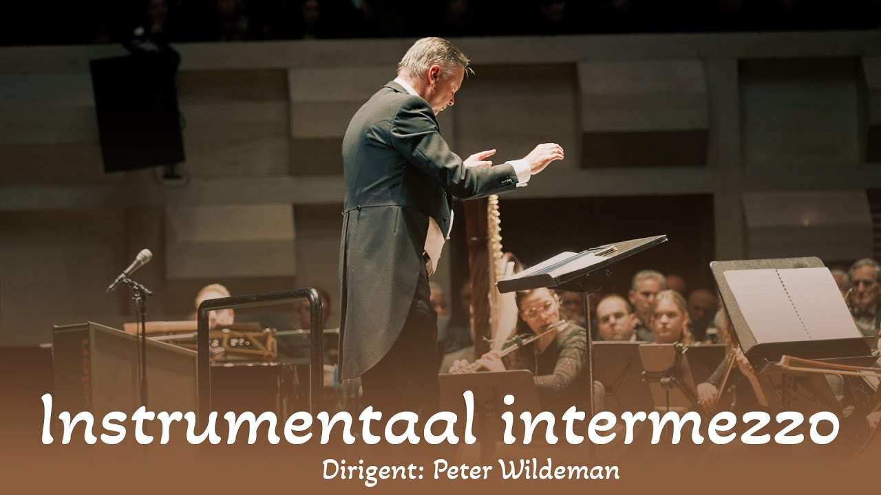 Instrumentaal intermezzo o.l.v. Peter Wildeman