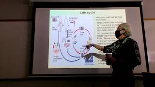 Micro Lecture 4/19