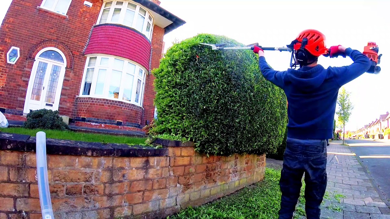 satisfying hedge trimming YouTube